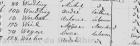 thumbs/1819moise_weil_no_weiller.png.jpg