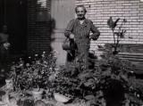 thumbs/1947.08_belfort_fransiska.png.jpg