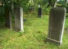 thumbs/2009A_grave_regina-reinherz_no-stone.jpg.jpg